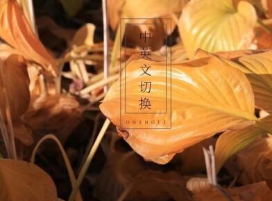 網站中英文切換怎么做？