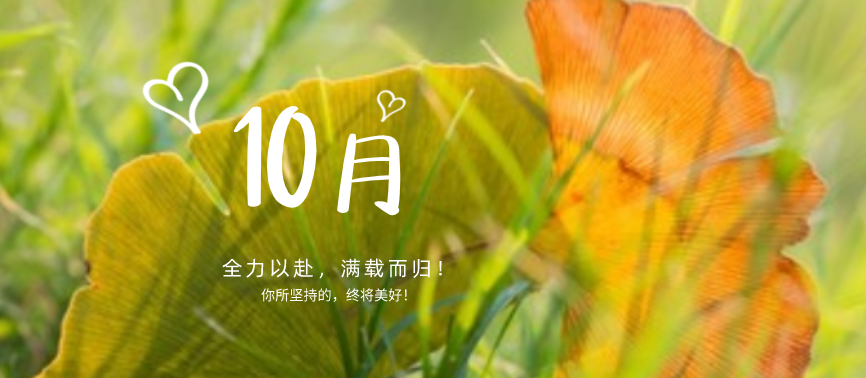 蓄力下半場|“十不我待，吾力全開”！網站設計、網站優化都快做起來！